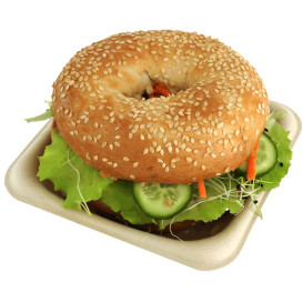 Contenitori  Bio Canna da Zucchero 14x14cm (300 Pezzi)