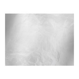 Carta Antigrasso Accoppiata con Alluminio 31x41cm (500 Pezzi)